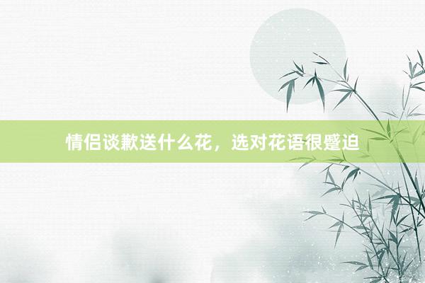 情侣谈歉送什么花，选对花语很蹙迫