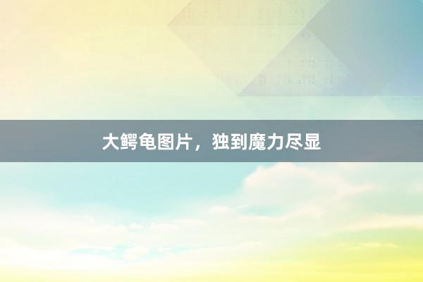 大鳄龟图片，独到魔力尽显