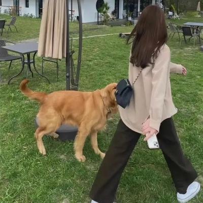 勇敢说爱